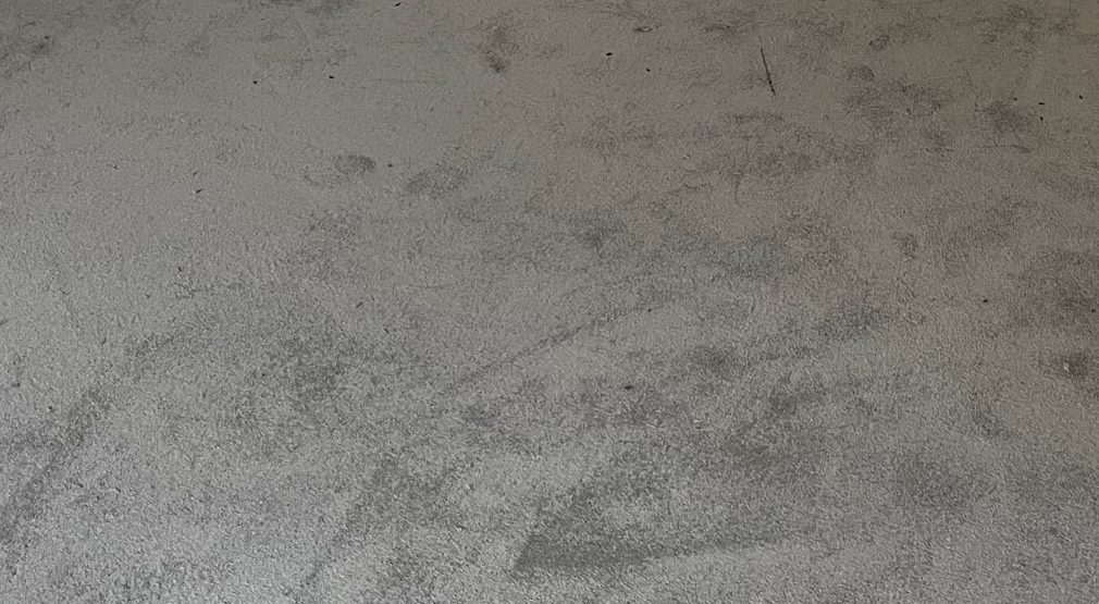 Carpet inspiration image 3