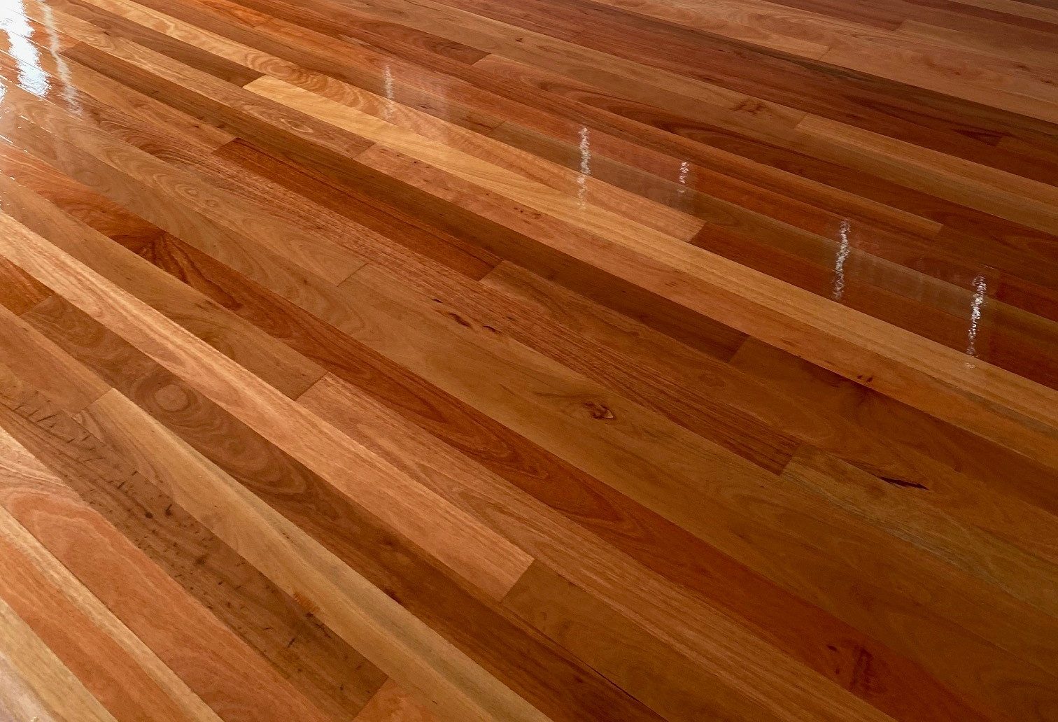 Sanding and polishing timber floors