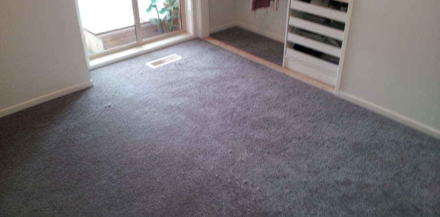 Carpet Flooring