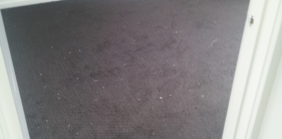 Carpet Flooring