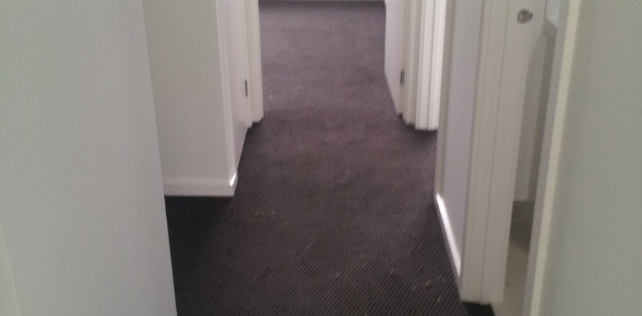 Carpet Flooring