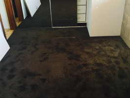 Carpet Melbourne