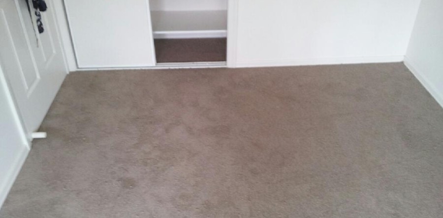 Carpet Flooring